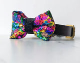 Bertie Rainbow Sequin Bow Tie By The Distinguished Dog Company