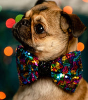 Bertie Rainbow Sequin Bow Tie By The Distinguished Dog Company