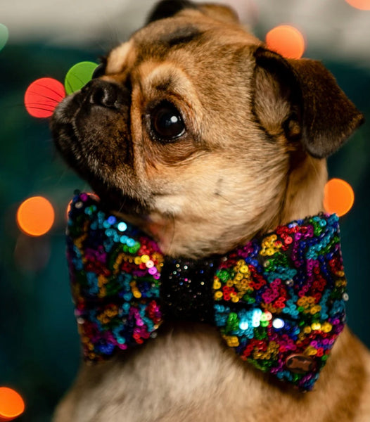 Bertie Rainbow Sequin Bow Tie By The Distinguished Dog Company