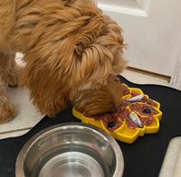 Yellow Mandala Design eTray Enrichment Tray for Dogs By Soda Pup