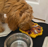 Yellow Mandala Design eTray Enrichment Tray for Dogs By Soda Pup
