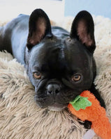 Plush Carrot Dog Toy By Midlee