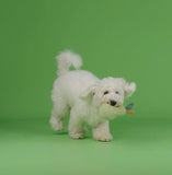 Pear Squeaky Toy By Chewffon