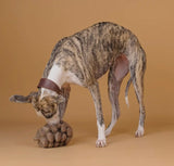 Pinecone Toy By Chewffon