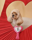 Make Up Mirror Dog Toy By Hugsmart