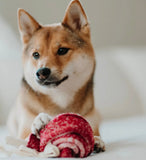 Lollypop Snuffle Toy By Lambwolf Collective