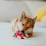 Lollypop Snuffle Toy By Lambwolf Collective