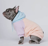 Cotton Candy Colour Block Hoodie By Spark Paws