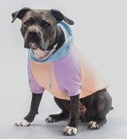 Cotton Candy Colour Block Hoodie By Spark Paws