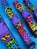 Neon Animal Print Dog Collar Handmade By Urban Tails