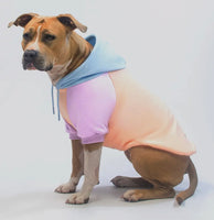 Cotton Candy Colour Block Hoodie By Spark Paws