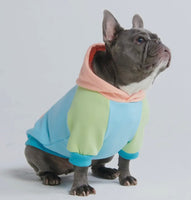 Jelly Bean Colour Block Hoodie By Spark Paws