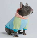 Jelly Bean Colour Block Hoodie By Spark Paws
