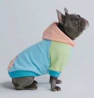 Jelly Bean Colour Block Hoodie By Spark Paws