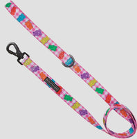 Beary Sweet Dog Lead By Big & Little Dogs