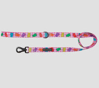 Beary Sweet Dog Lead By Big & Little Dogs