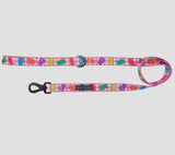 Beary Sweet Dog Lead By Big & Little Dogs