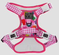 Beary Sweet Adventure All-Rounder Dog Harness By Big & Little Dogs