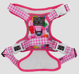 Beary Sweet Adventure All-Rounder Dog Harness By Big & Little Dogs