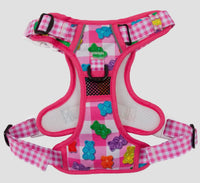 Beary Sweet Adventure All-Rounder Dog Harness By Big & Little Dogs