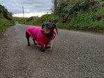 Hot Pink Cosy Dog Hoodie