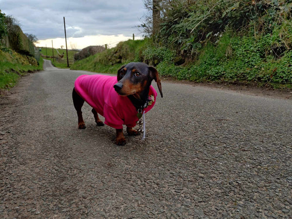 Hot Pink Cosy Dog Hoodie