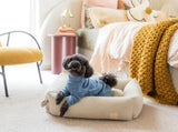 French Blue Soft Touch Dog Pyjamas By FuzzYard Life