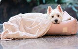 Blush Pink Comforter Blanket By FuzzYard Life
