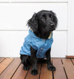 French Blue Raincoat By FuzzYard Life