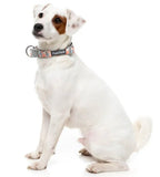 Yard Dog Collar By Fuzzyard