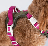 Olive Like It’s Hot Colour Drops Harness By Bailey & Coco