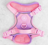 Pink Love That For You Colour Drops Harness By Bailey & Coco
