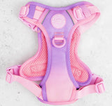Pink Love That For You Colour Drops Harness By Bailey & Coco