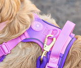 Pink Love That For You Colour Drops Harness By Bailey & Coco