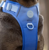 Blue Head In The Clouds Colour Drops Harness By Bailey & Coco