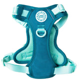 Ice Teal Green Colour Drops Harness By Bailey & Coco