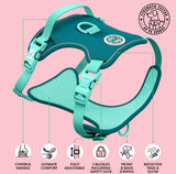 Ice Teal Green Colour Drops Harness By Bailey & Coco