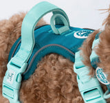 Ice Teal Green Colour Drops Harness By Bailey & Coco