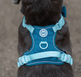 Ice Teal Green Colour Drops Harness By Bailey & Coco