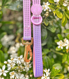 Pink Love That For You Colour Drop 5ft Dog Lead By Bailey & Coco