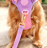 Pink Love That For You Colour Drop 5ft Dog Lead By Bailey & Coco