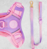 Pink Love That For You Colour Drop 5ft Dog Lead By Bailey & Coco
