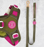 Olive Like It’s Hot Colour Drop 5ft Dog Lead By Bailey & Coco