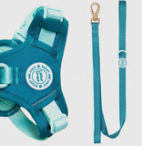 Ice Teal Green Colour Drop 5ft Dog Lead By Bailey & Coco