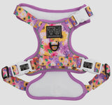 Spring Fling Floral Adventure All-Rounder Dog Harness By Big & Little Dogs