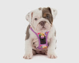 Spring Fling Floral Adventure All-Rounder Dog Harness By Big & Little Dogs