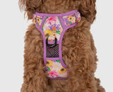 Spring Fling Floral Adventure All-Rounder Dog Harness By Big & Little Dogs