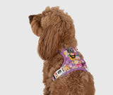 Spring Fling Floral Adventure All-Rounder Dog Harness By Big & Little Dogs