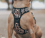 Lux Leopard Adventure All-Rounder Dog Harness By Big & Little Dogs