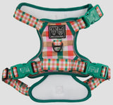 Candy Plaid Adventure All-Rounder Dog Harness By Big & Little Dogs